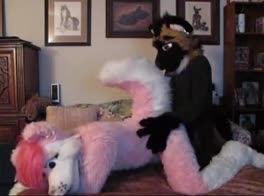 Furry Fun .. ( yiff, yiff )